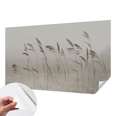 Samolepiaca fototapeta Trávy v hmle