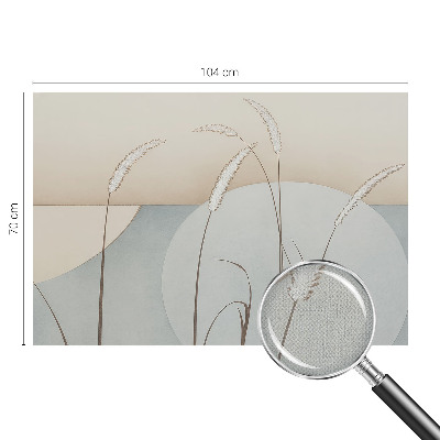 Samolepiaca fototapeta do obývačky Jemné trávy