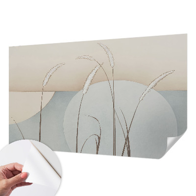 Samolepiaca fototapeta do obývačky Jemné trávy