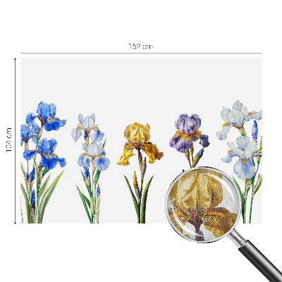 Samolepiaca fototapeta do spálne Kvety kosatcov