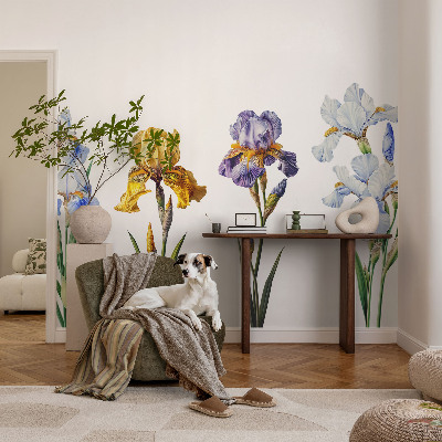 Samolepiaca fototapeta do spálne Kvety kosatcov