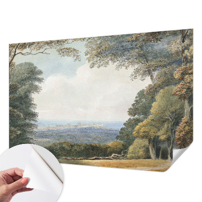 Fotografická tapeta do detskej izby Zalesnená krajina