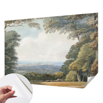 Fotografická tapeta do detskej izby Zalesnená krajina