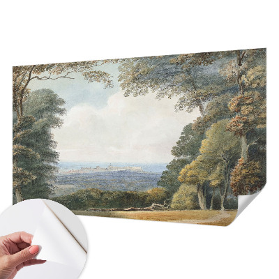 Fotografická tapeta do detskej izby Zalesnená krajina