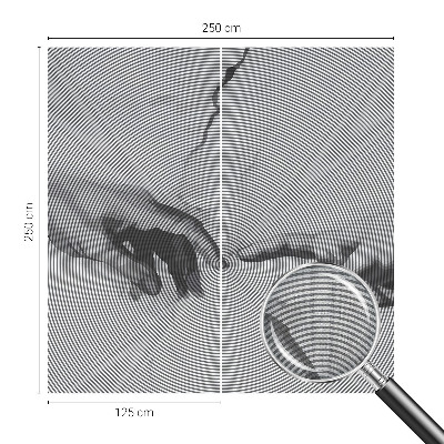 Samolepiaca fototapeta Hypnotické ruky