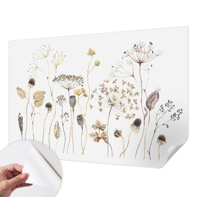 Samolepiaca fototapeta do obývačky Divoké kvety