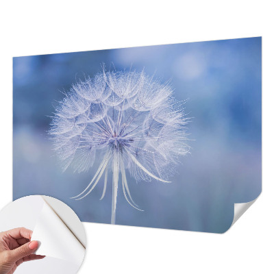 Samolepiaca fototapeta do spálne Modrá pochúťka