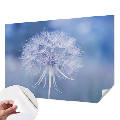 Samolepiaca fototapeta do spálne Modrá pochúťka