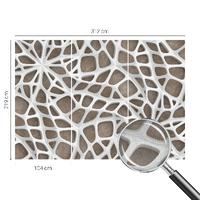 Moderná tapeta na stenu Čipkovaná sieť