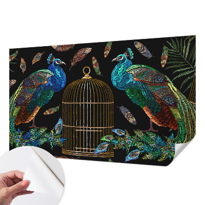 Fototapeta pre chlapca Obrázok páva