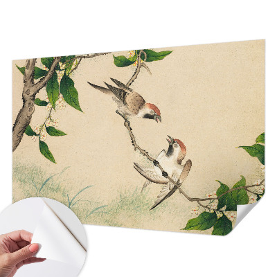 Samolepiaca fototapeta Klasické duo