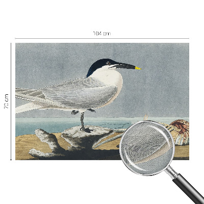 Moderná tapeta na stenu Ornitologická elegancia