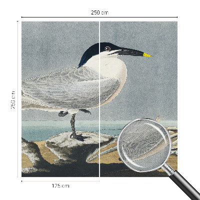 Moderná tapeta na stenu Ornitologická elegancia