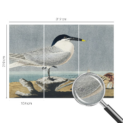 Moderná tapeta na stenu Ornitologická elegancia