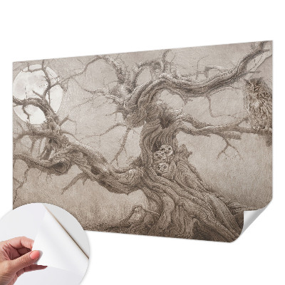 Tapeta do obývačky Nočné vtáky