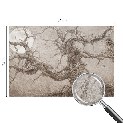 Tapeta do obývačky Nočné vtáky