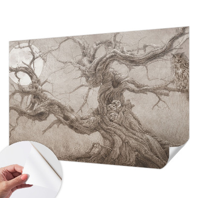 Tapeta do obývačky Nočné vtáky