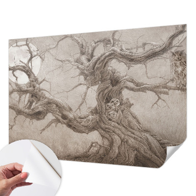 Tapeta do obývačky Nočné vtáky