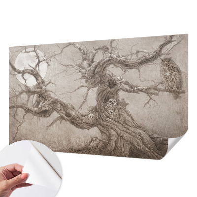 Tapeta do obývačky Nočné vtáky