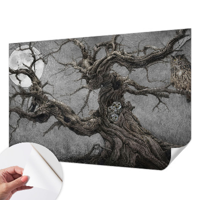 Fototapeta do detskej izby Tajomná sova