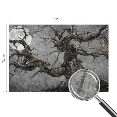 Fototapeta do detskej izby Tajomná sova