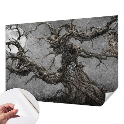 Fototapeta do detskej izby Tajomná sova