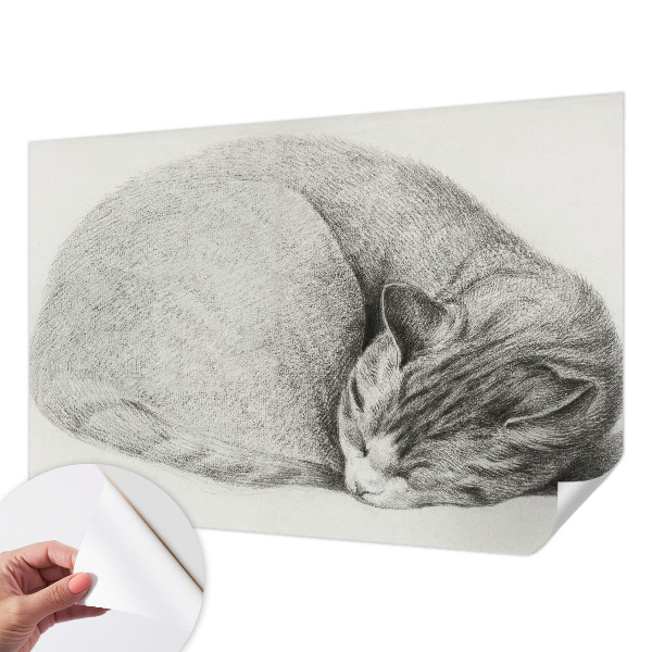 Detská tapeta Zrolovaná mačka