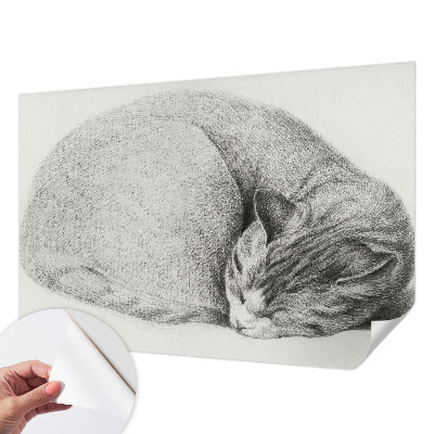 Detská tapeta Zrolovaná mačka