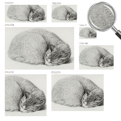 Detská tapeta Zrolovaná mačka