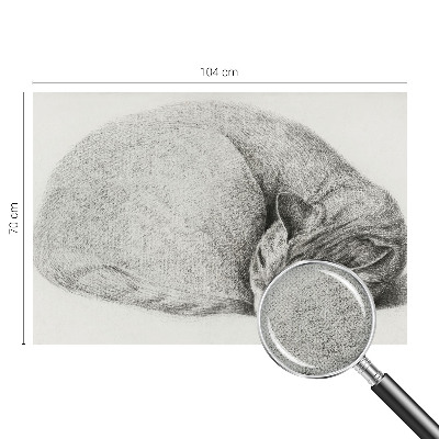 Detská tapeta Zrolovaná mačka