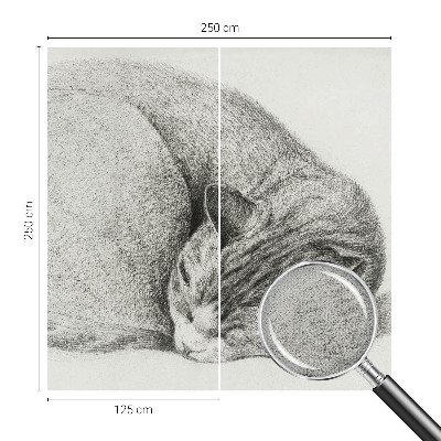 Detská tapeta Zrolovaná mačka