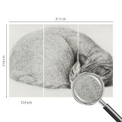 Detská tapeta Zrolovaná mačka