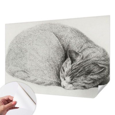 Detská tapeta Zrolovaná mačka