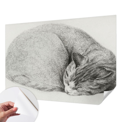 Detská tapeta Zrolovaná mačka