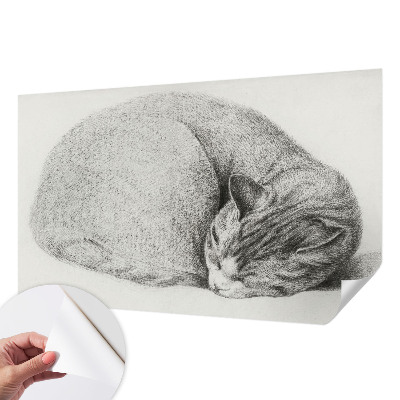 Detská tapeta Zrolovaná mačka