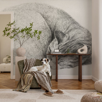 Detská tapeta Zrolovaná mačka