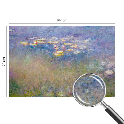 Tapeta do obývačky Lekná