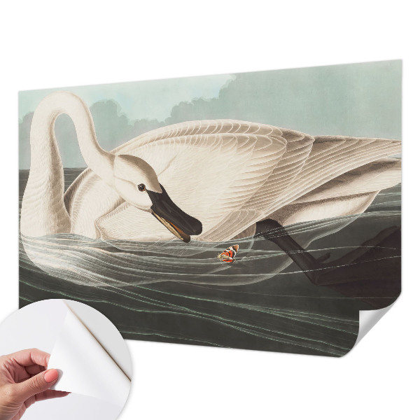 Samolepiaca fototapeta Harmónia prírody