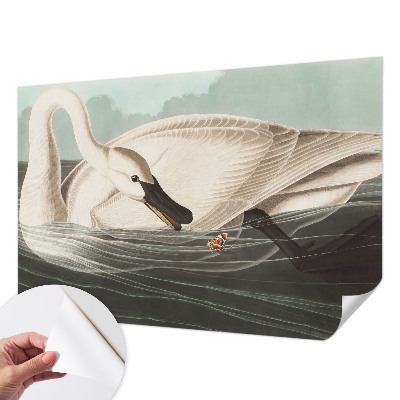 Samolepiaca fototapeta Harmónia prírody