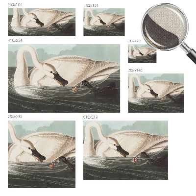 Samolepiaca fototapeta Harmónia prírody