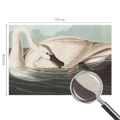 Samolepiaca fototapeta Harmónia prírody