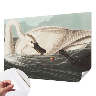 Samolepiaca fototapeta Harmónia prírody