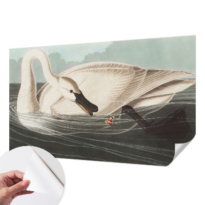 Samolepiaca fototapeta Harmónia prírody