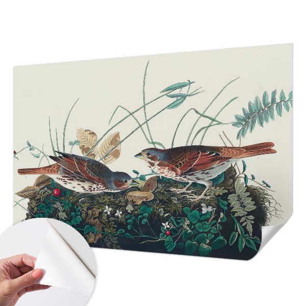 Samolepiaca tapeta Čaro prírody