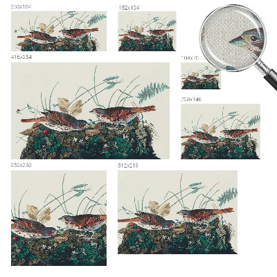 Samolepiaca tapeta Čaro prírody