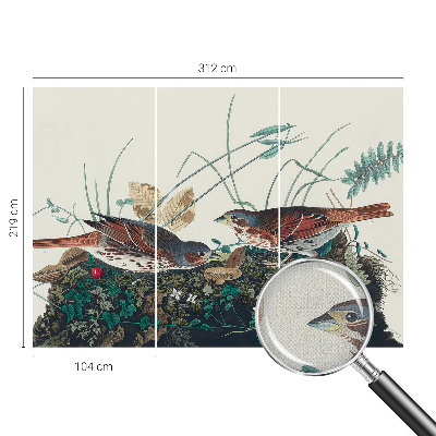 Samolepiaca tapeta Čaro prírody