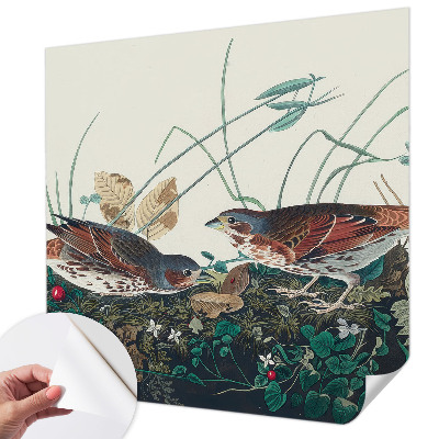 Samolepiaca tapeta Čaro prírody