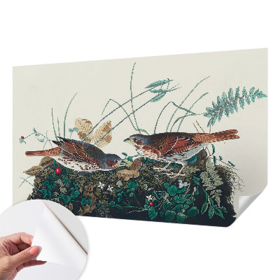 Samolepiaca tapeta Čaro prírody