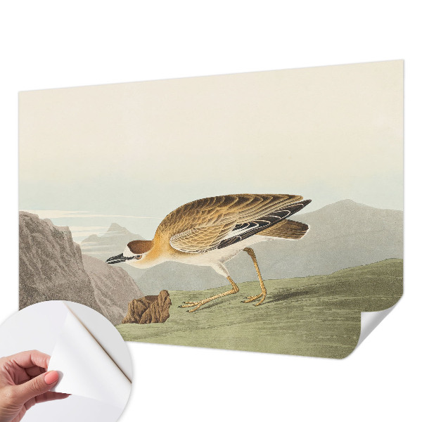 Tapety na stenu samolepiace Horský vták