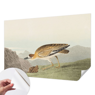 Tapety na stenu samolepiace Horský vták